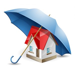 umbrella with mini house